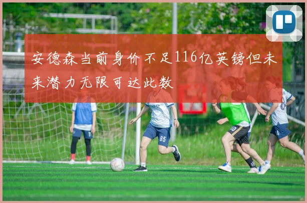 安德森当前身价不足116亿英镑但未来潜力无限可达此数